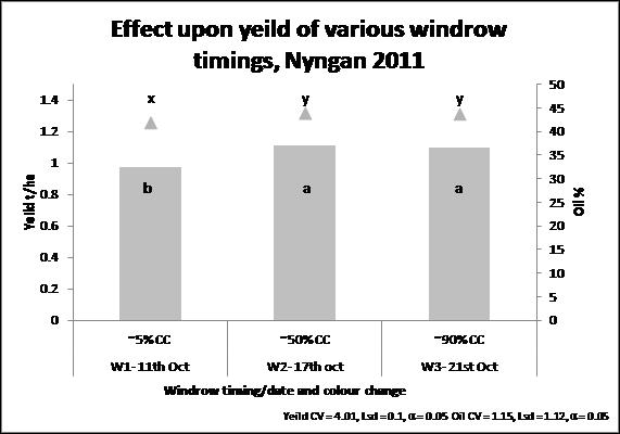 Treatments headed by the same letter denotes no significant difference Figure 4. Canola yield for the three windrow treatment timings at Nyngan 2011.