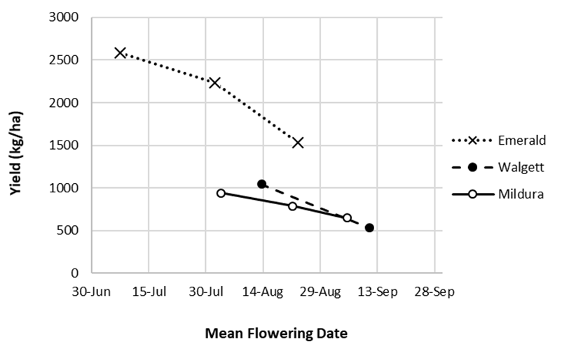 This line graph shows the average grain yield vs flowering date of 5 desi chickpea varieties from three ‘time-of-sowing’ field experiments conducted in 2019. Markers (cross or circles) represent average data generated from a single sowing date.