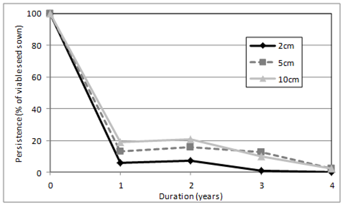 Line chart showing persistence of flaxleaf fleabane buried at different depths and for different times (years).