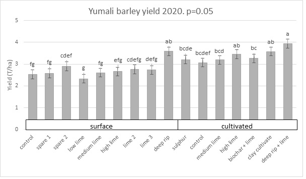 Bar graph showing grain yield of barley in response to numerous treatments at the Yumali trial site in 2020
