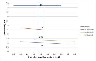 Line graph showing Grain yield of bread wheat decreases in seasons with dry springs (2013, 2014 and 2015, bottom three lines), but remains unchanged in a season with a wet spring (2016, top line) as levels of crown rot (Fusarium pseudograminearum and F. culmorum) increase, as determined using the PreDicta B test before planting in four field experiments at Horsham, 2013 to 2016. The box shows the percentage yield loss at the medium to high PreDicta B risk threshold.