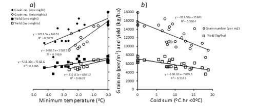 Relationship between wheat yield components. the first graph shows minimum temperature and the secod graph shows cold sum for frost treatments.