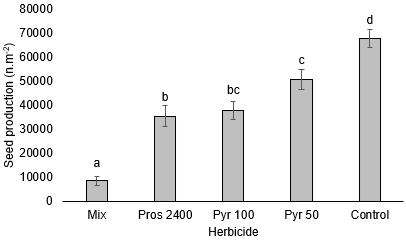 image of seed production