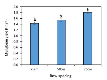 This column graph with standard error barsshows the effect of mungbean row spacing on crop yield at Hermitage, Qld 2017/18. Different letters indicate significant (P<0.05) difference after pairwise comparison for that graph. LSD = 0.1492. Standard error bars are shown.