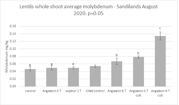 Bar graph showing the average amount of molybdenum in lentil whole shoot in response to lime treatments at Sandilands 2020 (n.b. there are no critical levels specific to lentil, however less than 0.3 milligrams/kilogram is considered low for field peas).