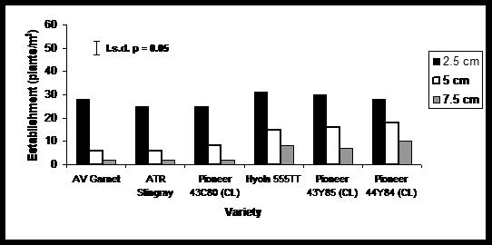 Establishment of six canola varieties at three sowing depths in 2013