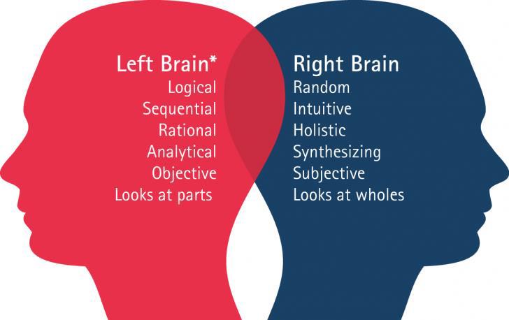 Infographic showing scientific differences between the left and right spheres of the brain (Source: Funderstanding).