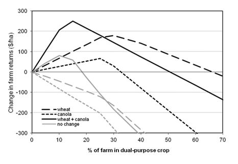 This line graph shows the change in estimated farm profit margin over two experimental years (2010 and 2011) with increasing area of farm removed from permanent pasture and sown to a dual-purpose crop: wheat alone (long dashes); canola alone (short dashes); and 1:1 wheat and canola in combination (solid line). Prices for grain and livestock grazing were: Wheat = $220/t, canola = $450/t, $0.15/sheep grazing.day.