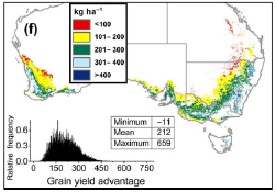 This map shows the grain yield advantage of wheat cv Drysdale  (+TE trait) over cv Hartog (-TE trait) under eCO2 in 2050 assuming 20% less rainfall and +2°C of warming over current mean temperature (from Christy et al., 2018). 
