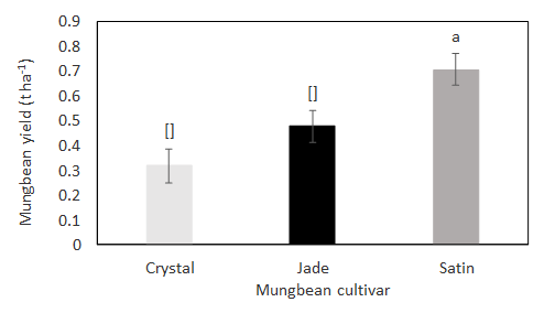 This column graph with standard error bars shows the Yield of different mungbean cultivars at Hermitage, Qld 2018/19. Standard error bars are shown. Different letters indicate significant (P<0.05) difference after pairwise comparison. LSD = 0.124.