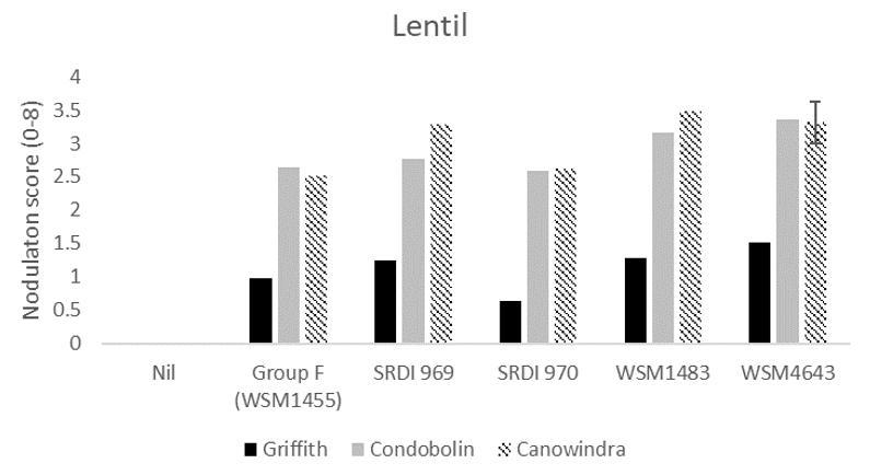 This column graph shows the average nodulation score of 15 lentil plants at Griffith, Condobolin and Canowindra where seed was inoculated with peat slurry containing a no rhizobia (nil), the current Group F strain, or one of four experimental strains. A score of 4 is considered adequate which is described as > 20 effective per plant Yates et al. (2016). The interaction Least Significant Difference (LSD) is indicated. 