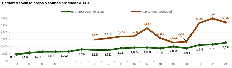 Hectares sown 2024