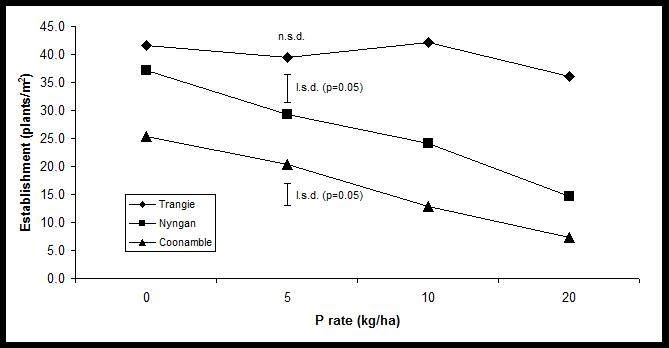 Establishment of four canola varieties sown with four rates of phosphorus