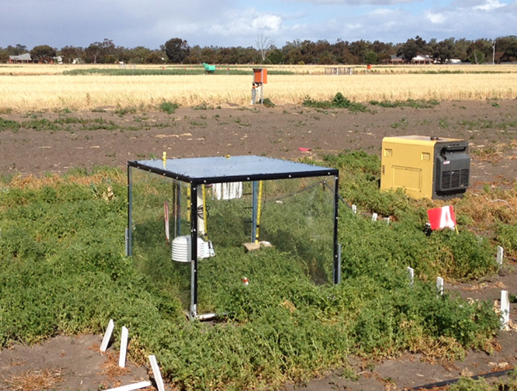 This is a photo showing a temperature regulated field enclosure for imposing acute heat stresses on crops.