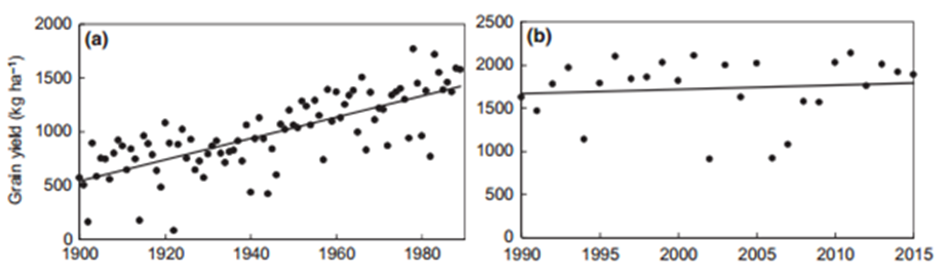 These two scatter graphs show (a) Increasing grain yields in wheat in Australia from 1900 and (b) yield plateau from 1990 to 2015 (Hochman et al., 2017).