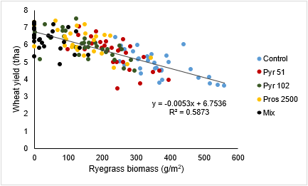 image of ryegrass biomass