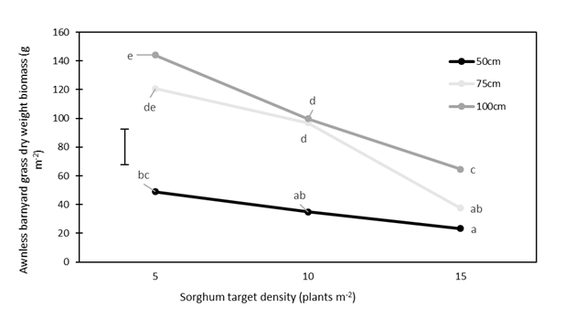 This line graph shows the effect of sorghum row spacing and crop density on awnless barnyard grass biomass. Narrabri, NSW 2017/18. Data points with a different letter are significantly different (P=0.05). LSD = 24.7.