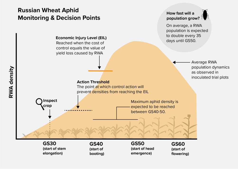 image of monitoring & decision points