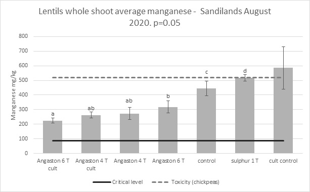 Bar graph showing the average amount of manganese in lentil whole shoot in response to treatments at Sandilands, 2020.