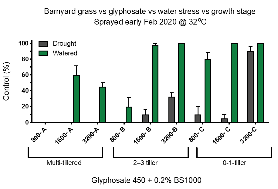 This column graph shows the effect of three rates of glyphosate on three growth stages of awnless barnyard grass, half not water-stressed and the other half water-stressed (Plant Science Consulting).