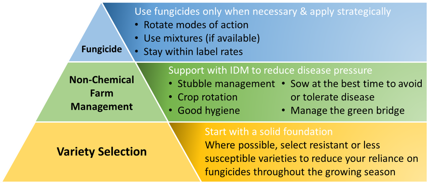 Figure 2. Fungicide resistance management pyramid produced by AFREN.