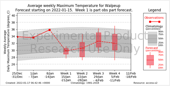 Timeseries of observed (red solid line) and forecast (red box plots) maximum temperature (y-axis) for consecutive weekly periods (x-axis) for Walpeup. The box plots indicate the range in the expected outcomes from the forecasts. The grey shading indicates the usually expected temperatures for that time of year (based on 1981-2010). The thresholds shown for the box plots and the grey shading are the 10th, 25th, 50th (median), 75th and 90th percentiles. For example, Week 1 (15 Jan–21 Jan 2021) is forecast to have a weekly mean maximum temperature of around 29.8°C (the median of the forecasts), which is around 2°C cooler than usual (for example, the median line of the box is below the median line of the grey shading and is around the 25th percentile of usually expected temperatures). Week 2 is also possibly going to be cooler but with greater spread from the model. In contrast, in Week 3 temperatures are expected to return to close to usual, with a weekly mean maximum temperature of ~32°C (that is, the median of the forecasts is close to the historical median). The display of the product shown here is from the R&D prototype. Work is progressing to enhance the display for the public website, and as such, the product will look slightly different when it goes live. 