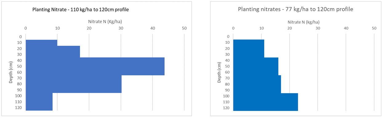 Graph showing average of planting nitrates distributed down the profile for the 2020 trial (left) and the 2021 trial (right).
