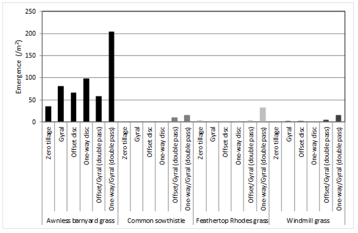 Bar chart showing emergence (/m2) of key weed northern region weed species after the second pass gyral treatment had been applied following different forms of tillage