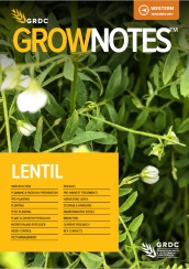 GrowNotes Lentil