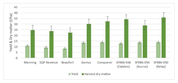 Figure 1. Influence of cultivar or line, including Manning, SQP Revenue, Beaufort, Genius, Conqueror, SFR86-036 Calabro, SFR86-054 Accroc and SFR86-505 Relay, on grain yield and dry matter in tonnes per hectare at harvest, versus commercial controls sown on the 6th of April. Sourced from HYC Research 2016 to 2017 season.
