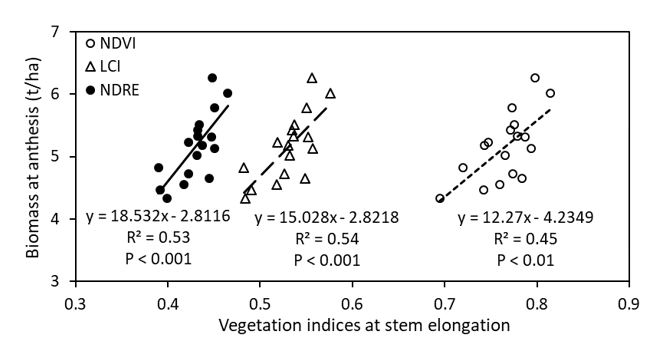 Linear regressions between vegetation indices measured at stem-elongation and anthesis biomass of 17 wheat genotypes grown in alkaline sodic dispersive subsoil at Grogan, southern NSW in 2019. 