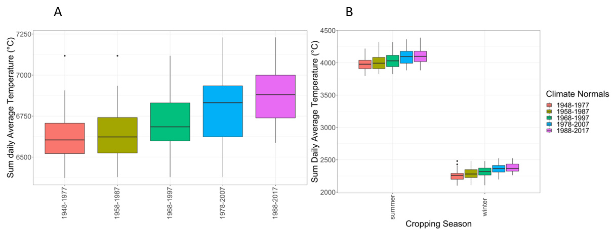 These boxplots show the sum of daily average temperature on an annual (A) and cropping season basis at Millmerran. Average temperature showed a continual increase in heat to the most recent climate normal (1988-2017). The change in accumulation of heat was similar in both summer and winter growing seasons.