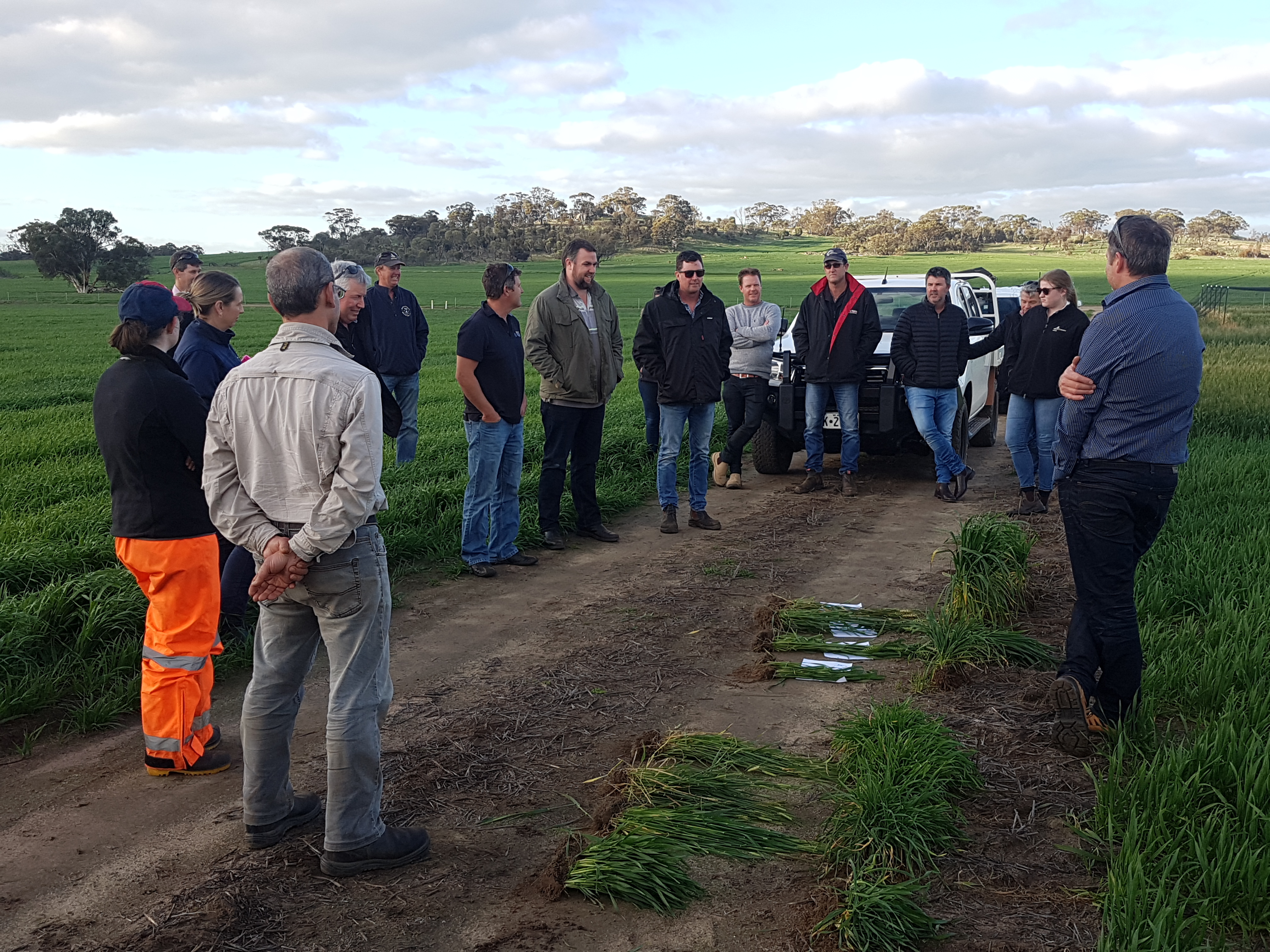 Grower Network in the at Dale frost site