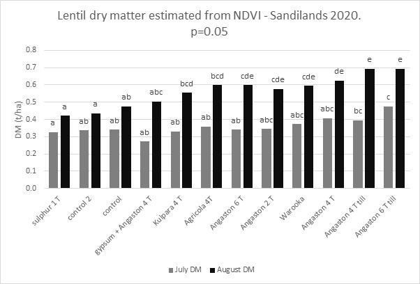 Bar graph showing the mean dry matter of lentil at Sandilands, July and August 2020