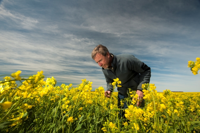 image of steve marcroft 