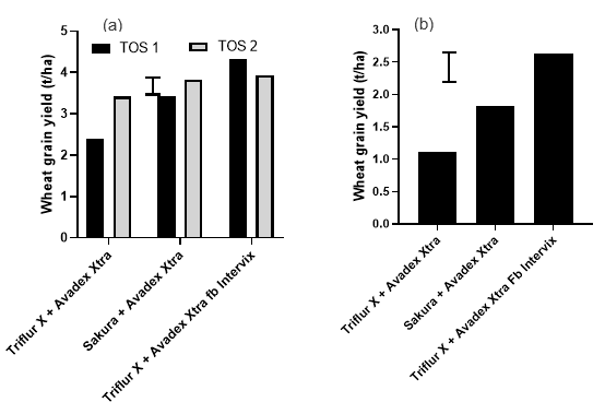 Figure 4. The effect of crop sowing time and herbicide treatments on wheat grain yield at Riverton (a) and effect of herbicide treatments on wheat yield at Mallala (b). 