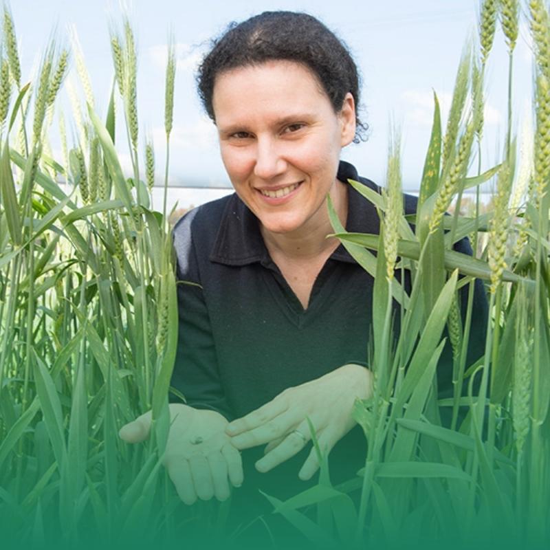 Svetlana Micic: 2025 Seed of Light award – West