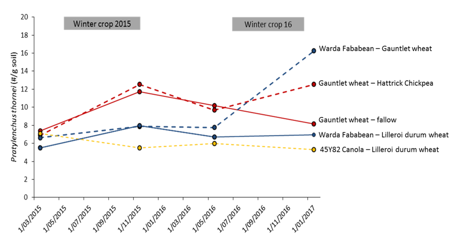 Figure 2. Changes in root lesion nematode population over two different winter crop sequences