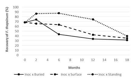 Line graph showing recovery of F. thapsinum from inoculated stubble treatments over time.  Note: 24 month data not presented.