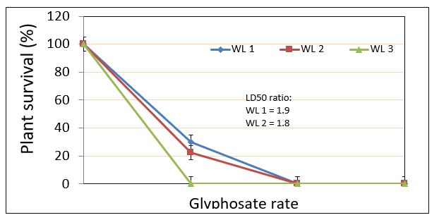 line graph of application of glyphoste rates on plant survival 