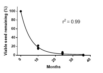Line graph indicating the longevity of rigid brome (B. rigidus) seed in the field at Lock from 2003 to 2006. In some populations seedbank persistence can be as high as 30%.
