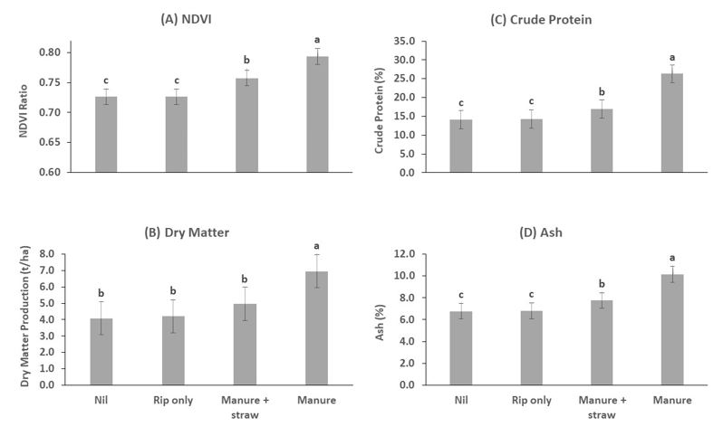 Figure 1. Four graphs showing the effect of deep ripping and subsoil manuring on A: normalised difference vegetation index B:dry matter production C:crude protein content and D: ash content. 