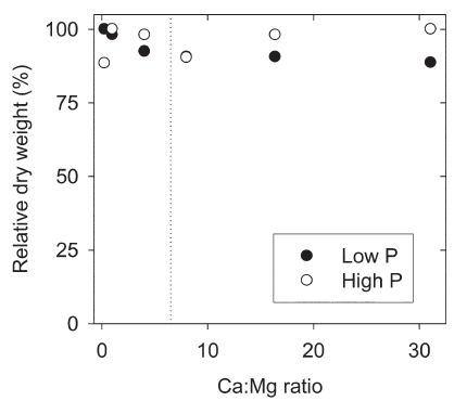 This scatter graph shows the effect of the exchangeable Ca/Mg ratio (0.25:1–31:1) on the relative shoot dry weight of alfalfa at two P fertilisation levels. Soils were prepared by mixing calcium and magnesium saturated clays at various ratios, with K-saturated clays accounting for 10% of the total. Data taken from Hunter (1949). The dotted line indicates the “ideal” Ca/Mg ratio of 6.5:1 as stated by Bear et al. (1945).