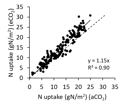This scatter graph with line of best fit shows the N uptake in above ground biomass at maturity in wheat in AGFACE across all cultivars for ambient and elevated CO2 (aCO2 and eCO2). The solid line represents the increase in N (mean +15%) taken up by crop due to increased biomass under eCO2. The dashed line is the 1:1 relationship (i.e. no response).