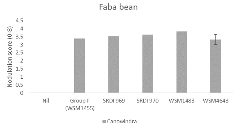 This column graph illustrates the average nodulation score of 15 vetch plants at Canowindra where seed was inoculated with peat slurry containing a no rhizobia (nil), the current Group F strain, or one of four experimental strains. A score of 4 is considered adequate which is described as > 20 effective per plant Yates et al. (2016). The Least Significant Difference (LSD) is indicated.