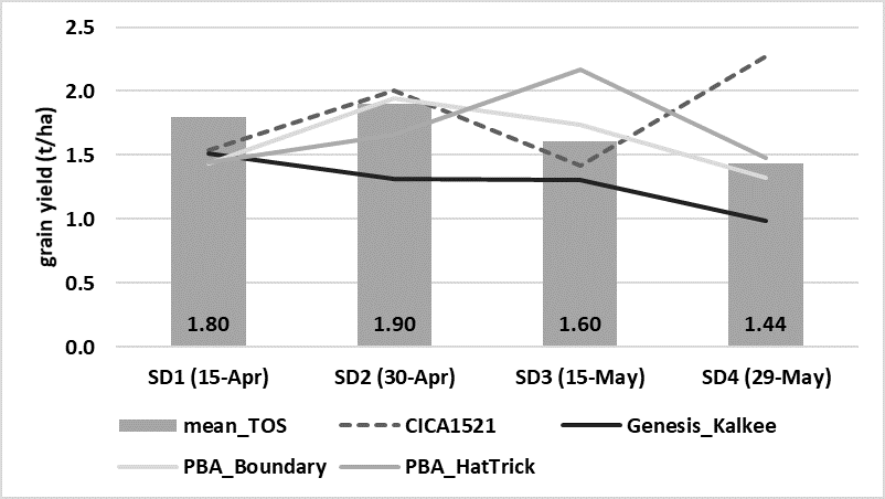 This line and column graph shows the effect of sowing date on grain yield, for four chickpea varieties sown at four sowing dates, Trangie ARC, 2019. Columns represent the mean of all eight varieties sown in 2019 for each sowing date (TOS l.s.d. (P=0.063) n.s.; VAR (P=0.031) = 0.455 t/ha).