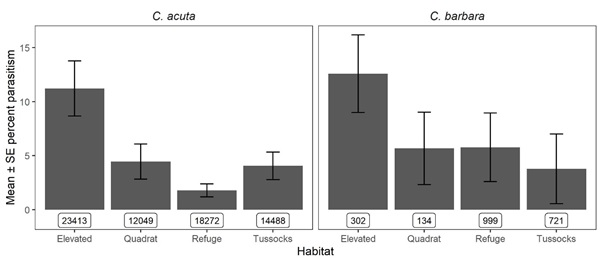 Graph showing parasitism of conical snails by S. villeneuveana in four microhabitats in 2019 and 2020. Sample sizes per category are shown in boxes.