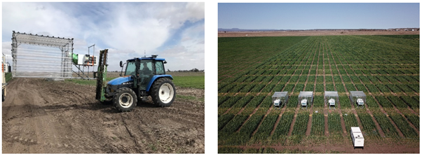 These two photographs show the in-field controlled environment chambers in the field at The University of Sydney Plant Breeding Institute, Narrabri 2020.