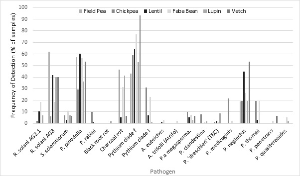 Column bar graphs showing the frequency of detection of various pathogens within field pea, chickpea, lentil, faba bean, lupin and vetch. Detection of pathogen was determined using molecular tools from pulse samples received nationally during 2020.