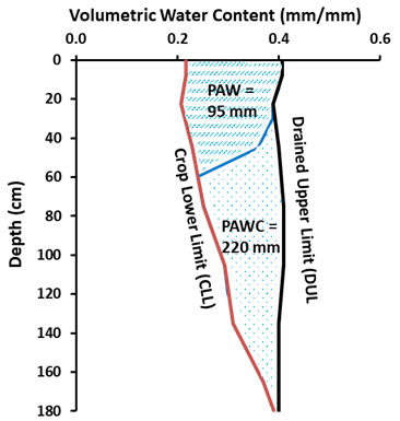 This figure is illustrating how the Plant Available Water Capacity (PAWC) is the total amount of water that a soil can potentially store and release to different crops and is defined by its Drained Upper Limit (DUL) and its crop specific Crop Lower Limit (CLL) – here 220 mm; Plant Available Water (PAW) represents the actual volume of water stored within the soil that is available to the plant at a particular point in time – here 95 mm in the upper soil layer.